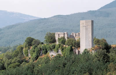 Rocca Silvana, Castell'azzara